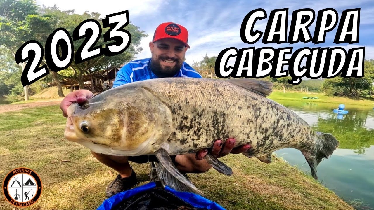 O FRIO CHEGOU: PESCARIA DE CARPA CABEÇUDA! TEMPORADA 2023
