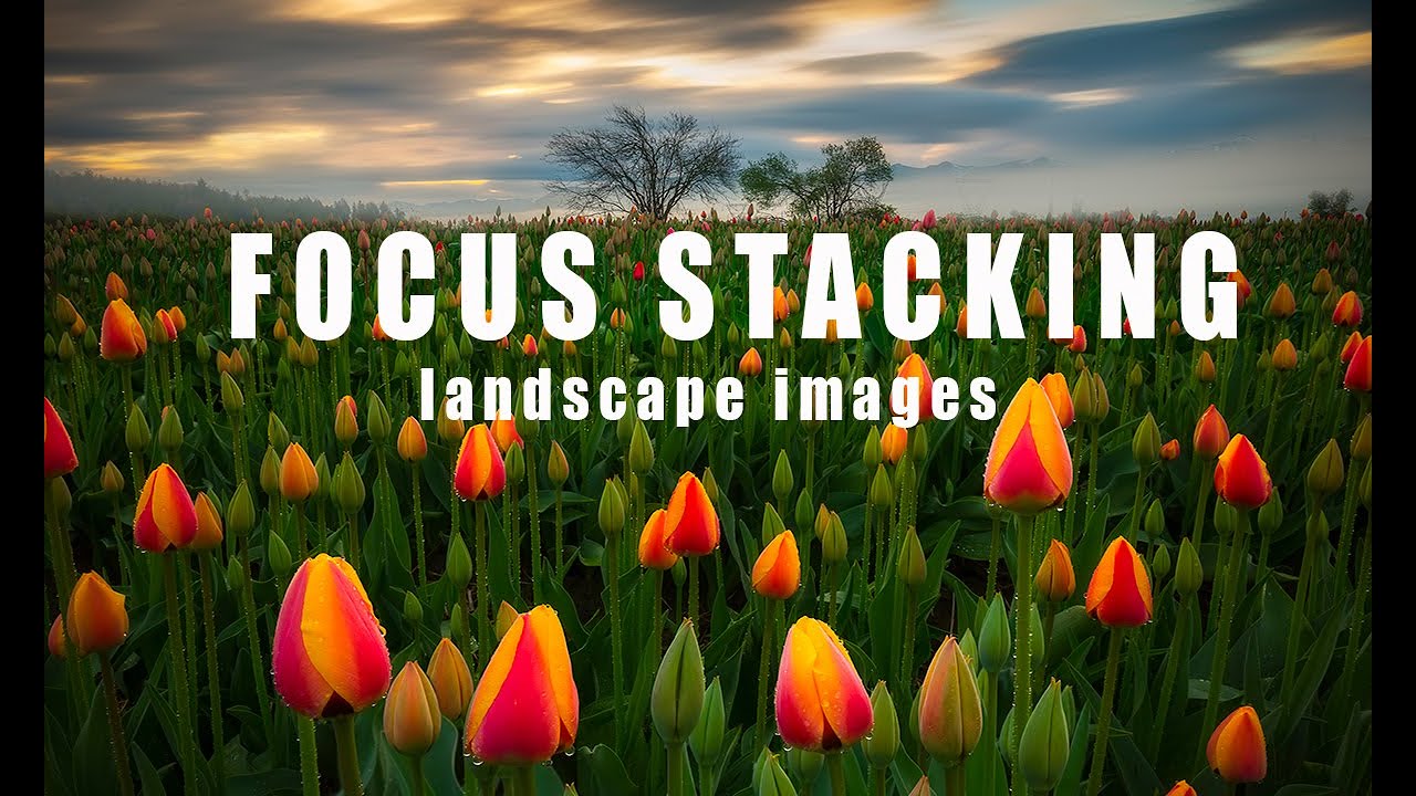 How to FOCUS STACK landscape images FAST - In the field and Photoshop explained