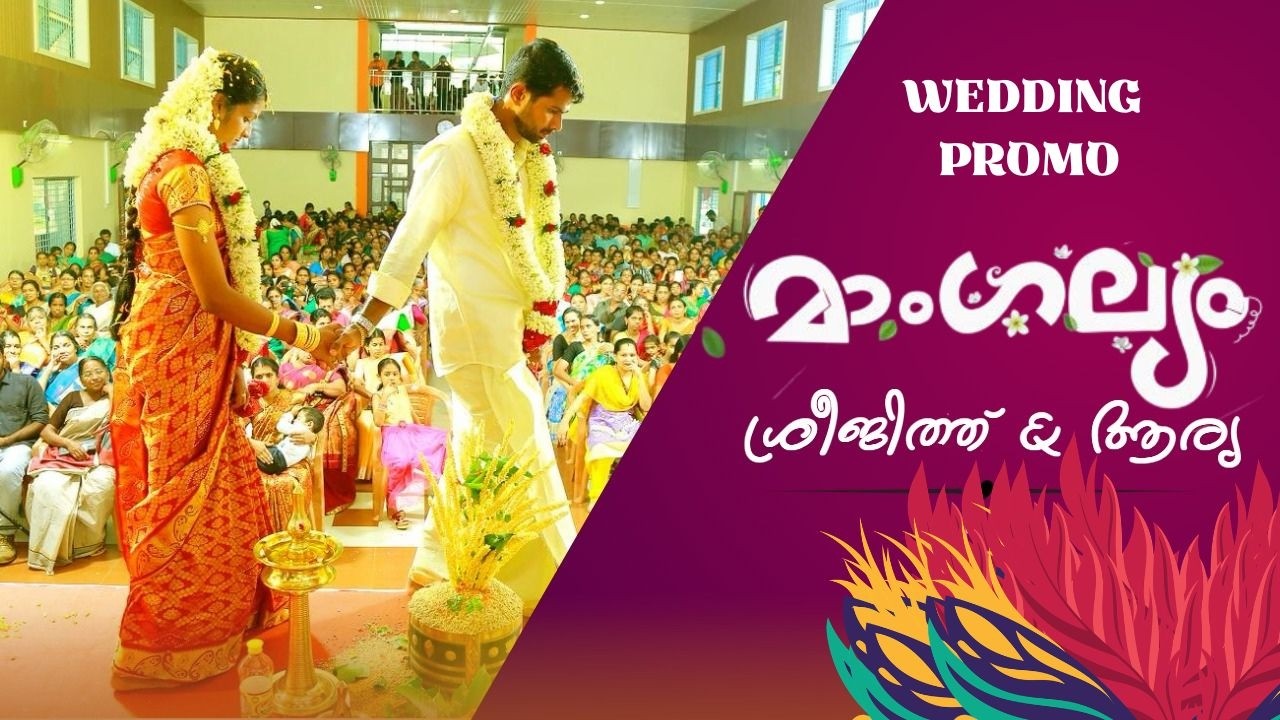 ARYA + SREEJITH WEDDING PROMO