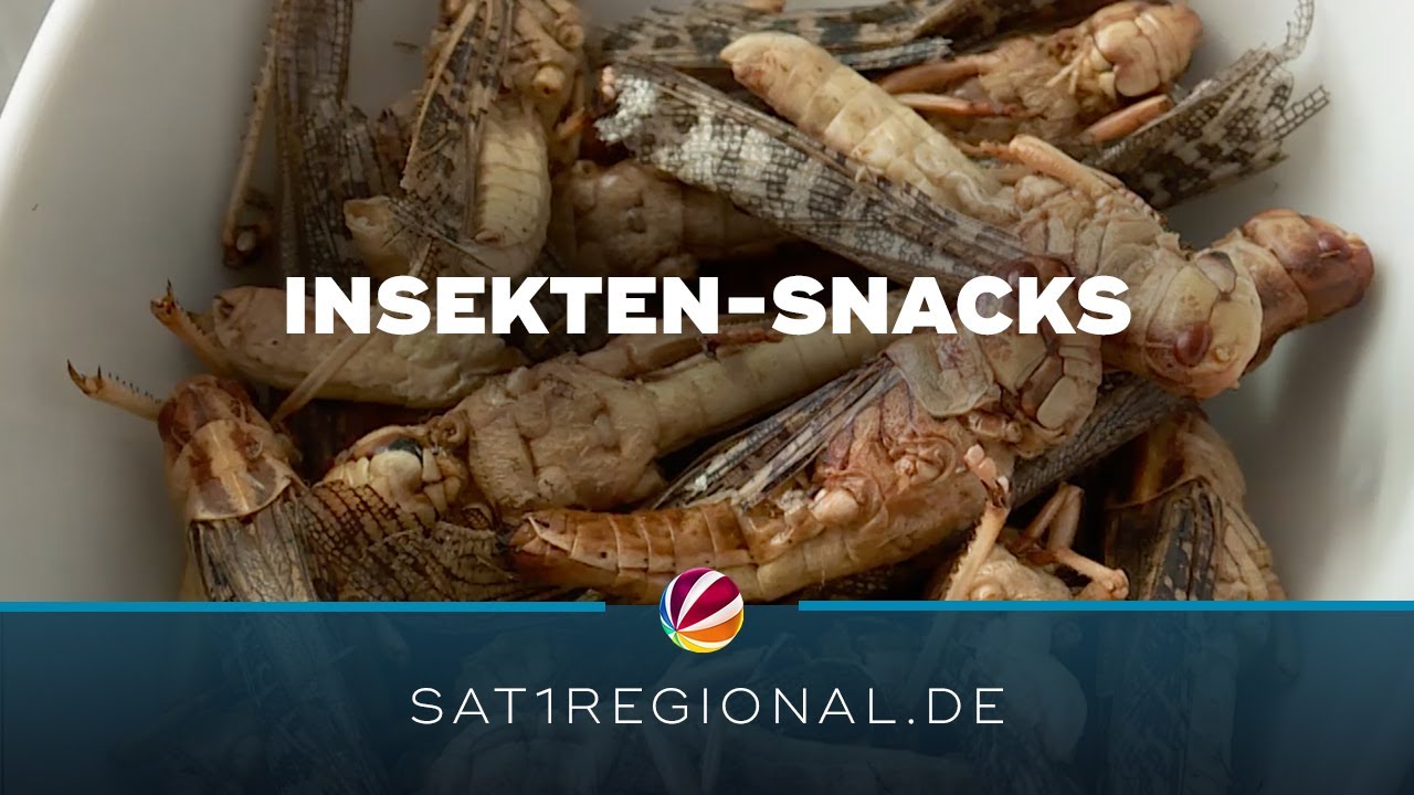 EU erlaubt immer mehr Insekten in Lebensmitteln - Dieser Unternehmer ist ein Vorreiter