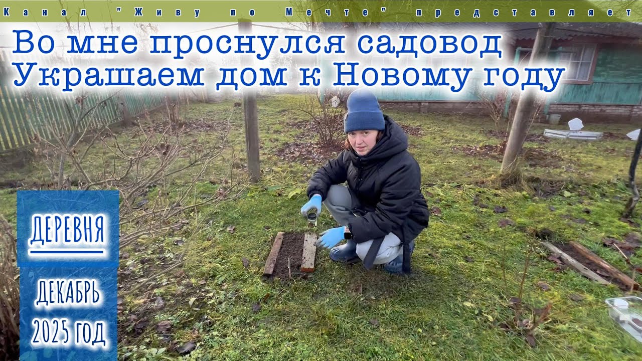 Деревня: Сажаю виноград и абрикосы. Украшаем дом к Новому году.