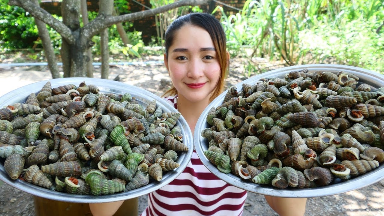 Yummy Whelk Cooking Coconut Juice Recipe - Cooking Skill
