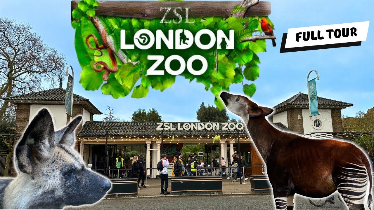 London Zoo - FULL TOUR