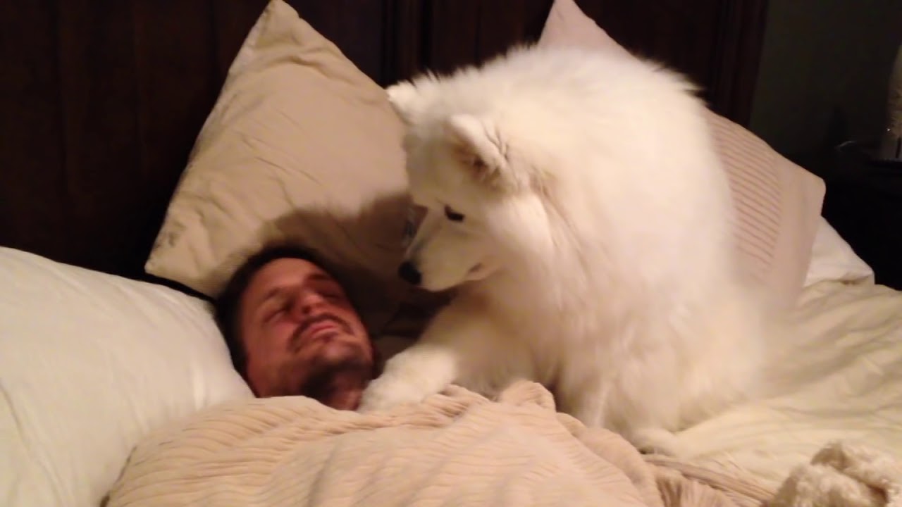 Lexi Wakes Dad UP