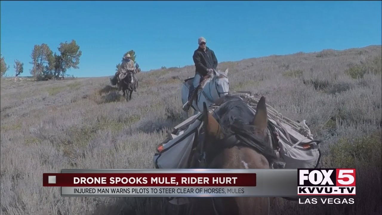 Drone spooks mule in Lee Canyon, rider injured