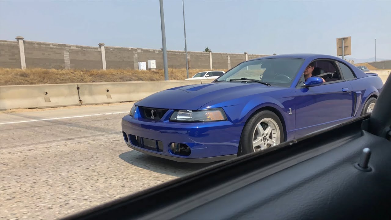 Cobra Terminator Plays With my Mach 1