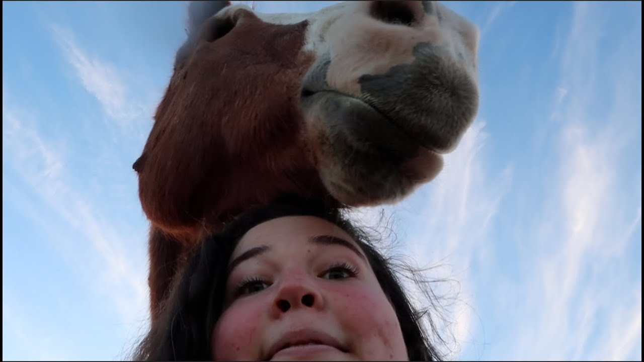 being a yeehaw and reading two books | vlogmas #18