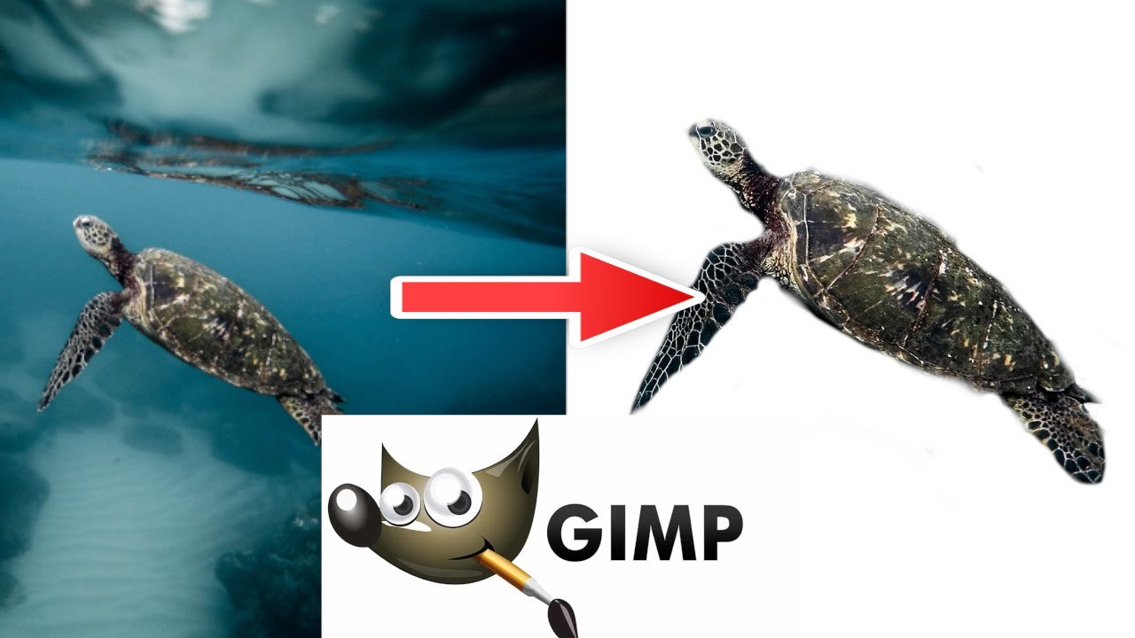 Wycinanie obiektów w GIMP