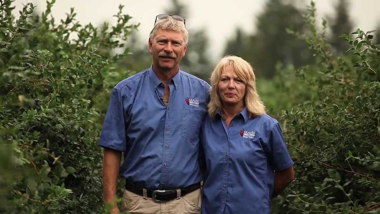 BC Berry Grower - Meet the Krause Family