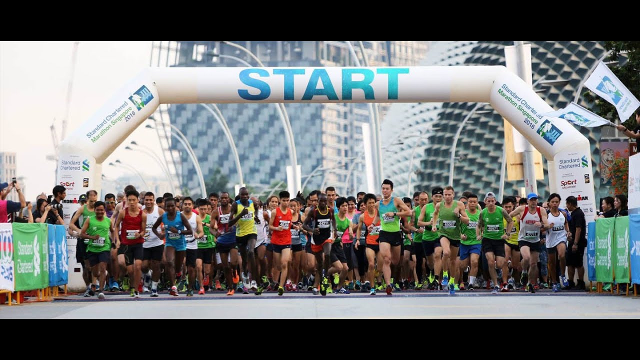 ماراثون فيينا الدولي رقم 41   فيينا النمسا لعام   2024 - Vienna City Marathon -- Austria - 04