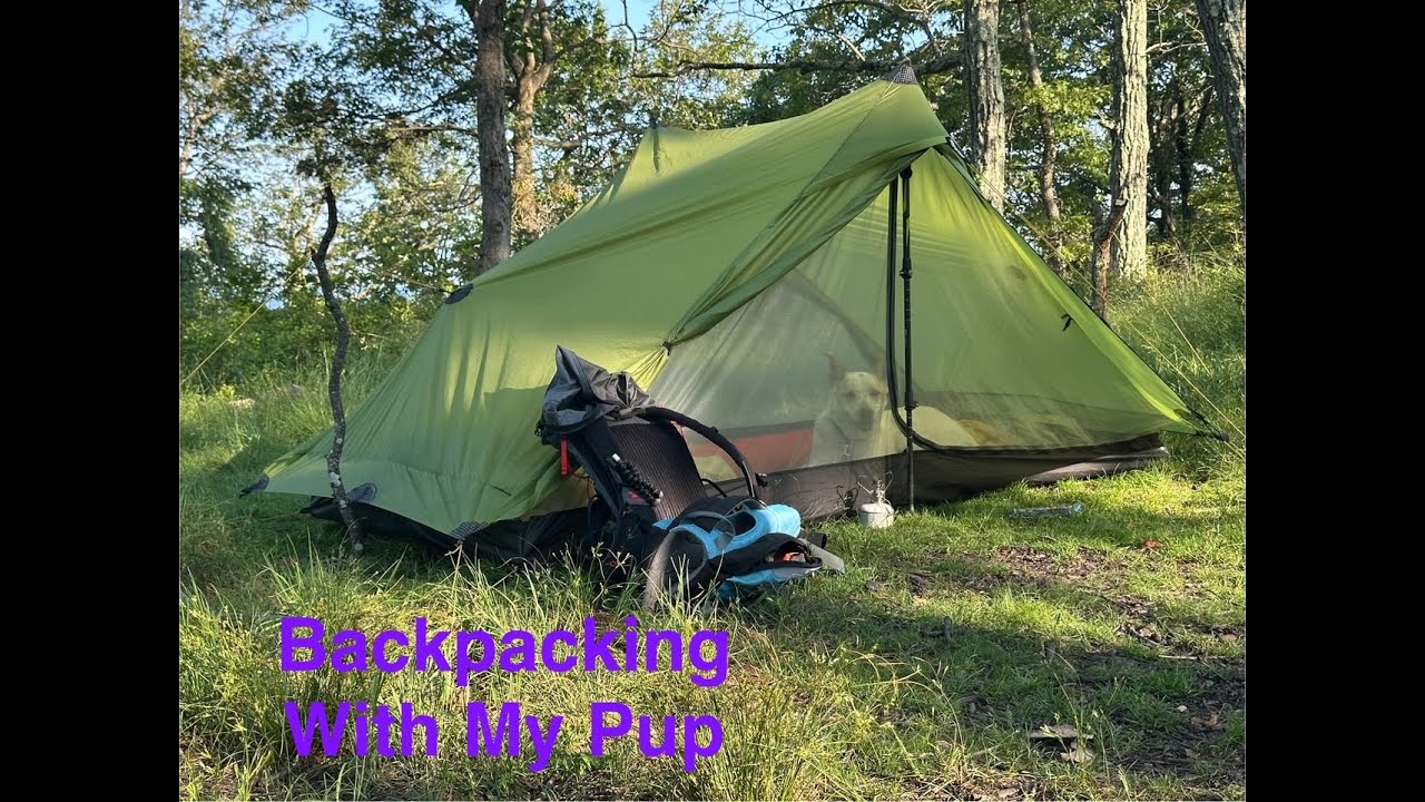 Harriman State Park - Summer Backpacking With My Pup
