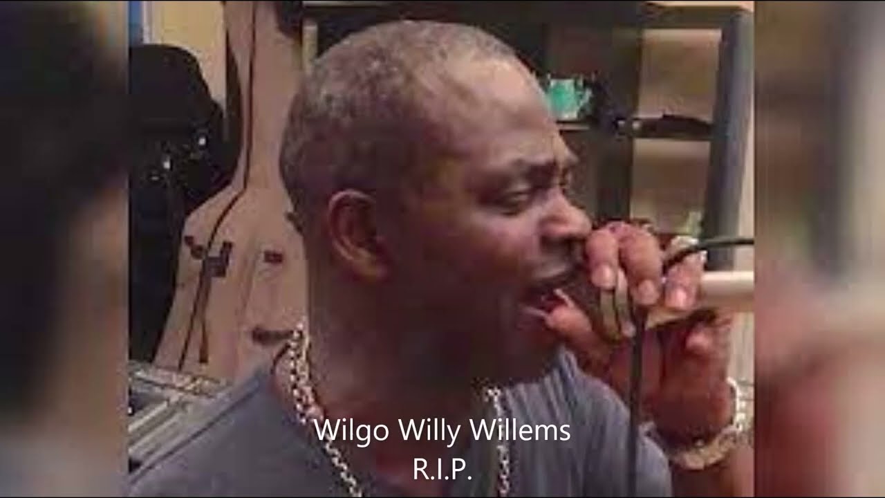 Wilgo Willy Willems - Na So (Muziek)