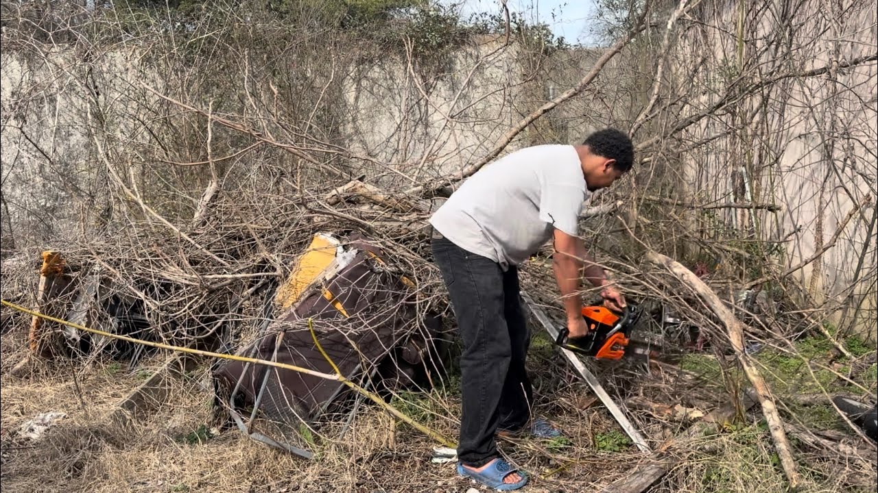 Day 1 Clearing Out This Overgrown Yard