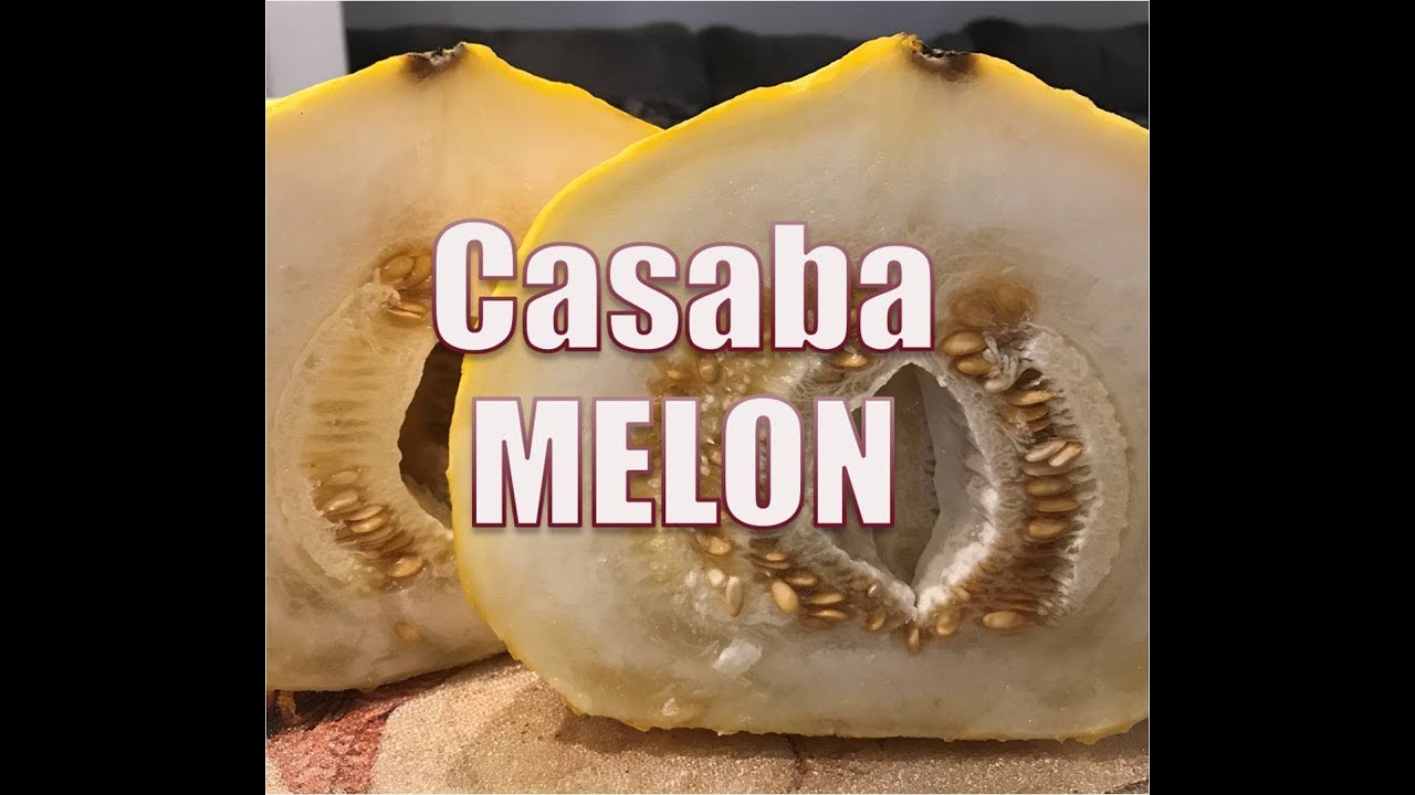 Unusual food 46 Casaba Melon