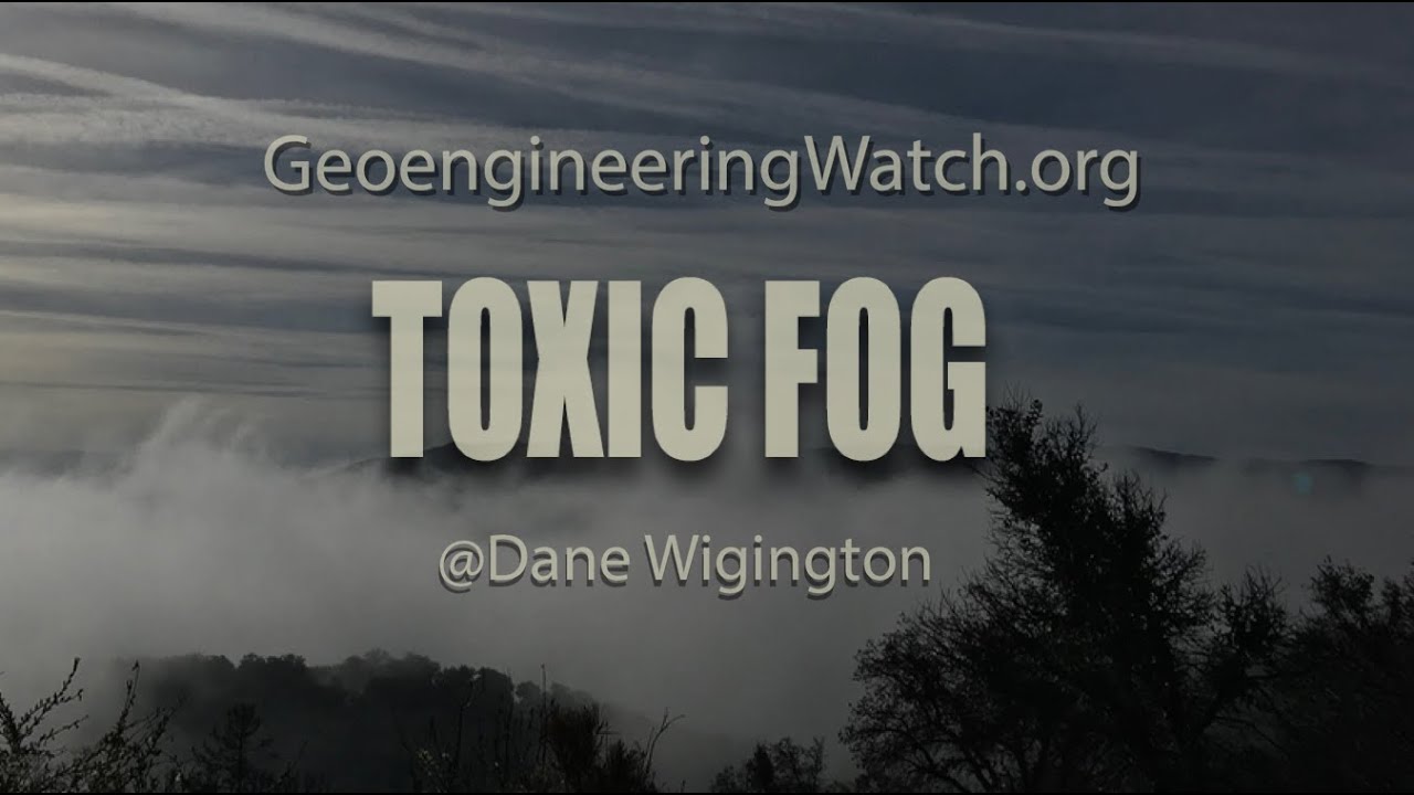Toxic Fog