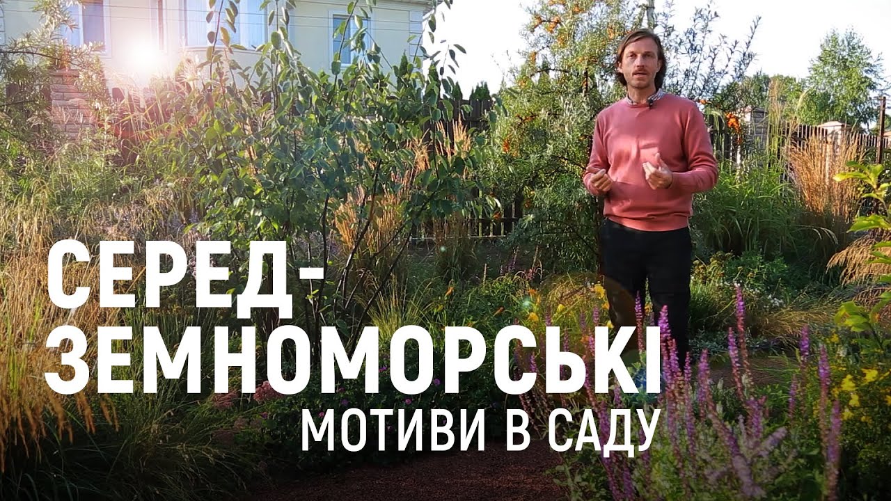 ЛАНДШАФТНИЙ ДИЗАЙН | ЕЛЕМЕНТИ СЕРЕДЗЕМНОМОРСЬКОГО САДУ