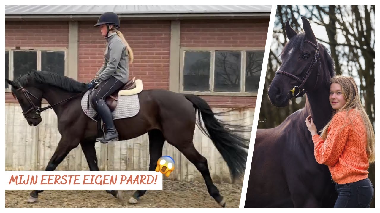 MIJN NIEUWE PAARD VOORSTELLEN!! + Q&A || Maybel's Horses