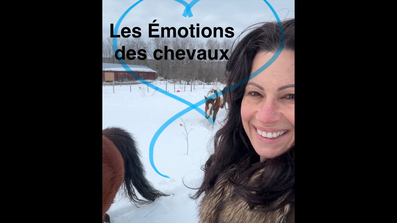 Science : Quelles Émotions vivent les Chevaux