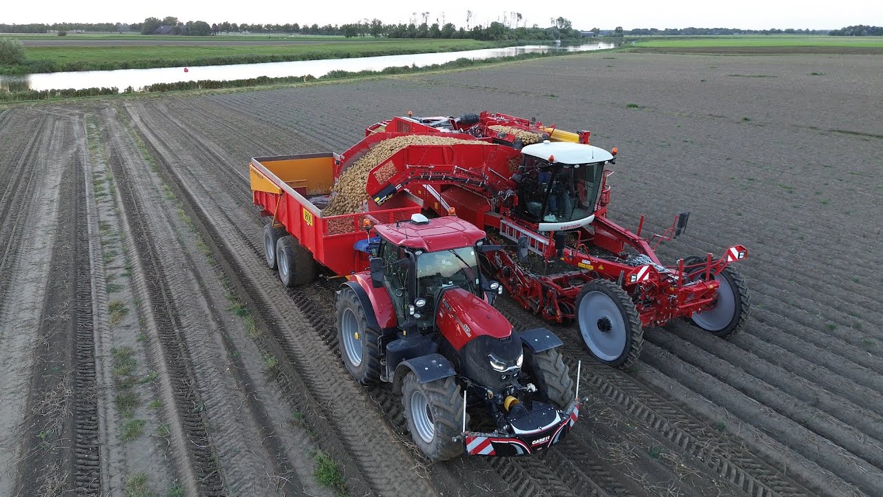 Pootaardappelen rooien & inschuren | Grimme Varitron 470 | Mts. Bos | Harvest seed potatoes | 2025