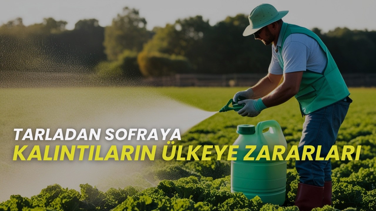 KALINTILARIN ÜLKEYE ZARARLARI I TARLADAN SOFRAYA