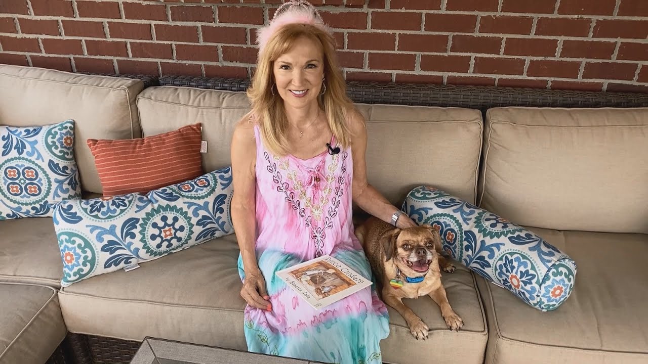 Story Time on the Back Porch: Prince Cinders by Babette Cole