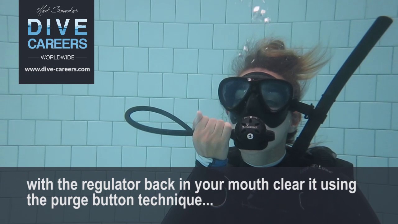 SKILL CIRCUIT REGULATOR CLEARING 2 WAYS