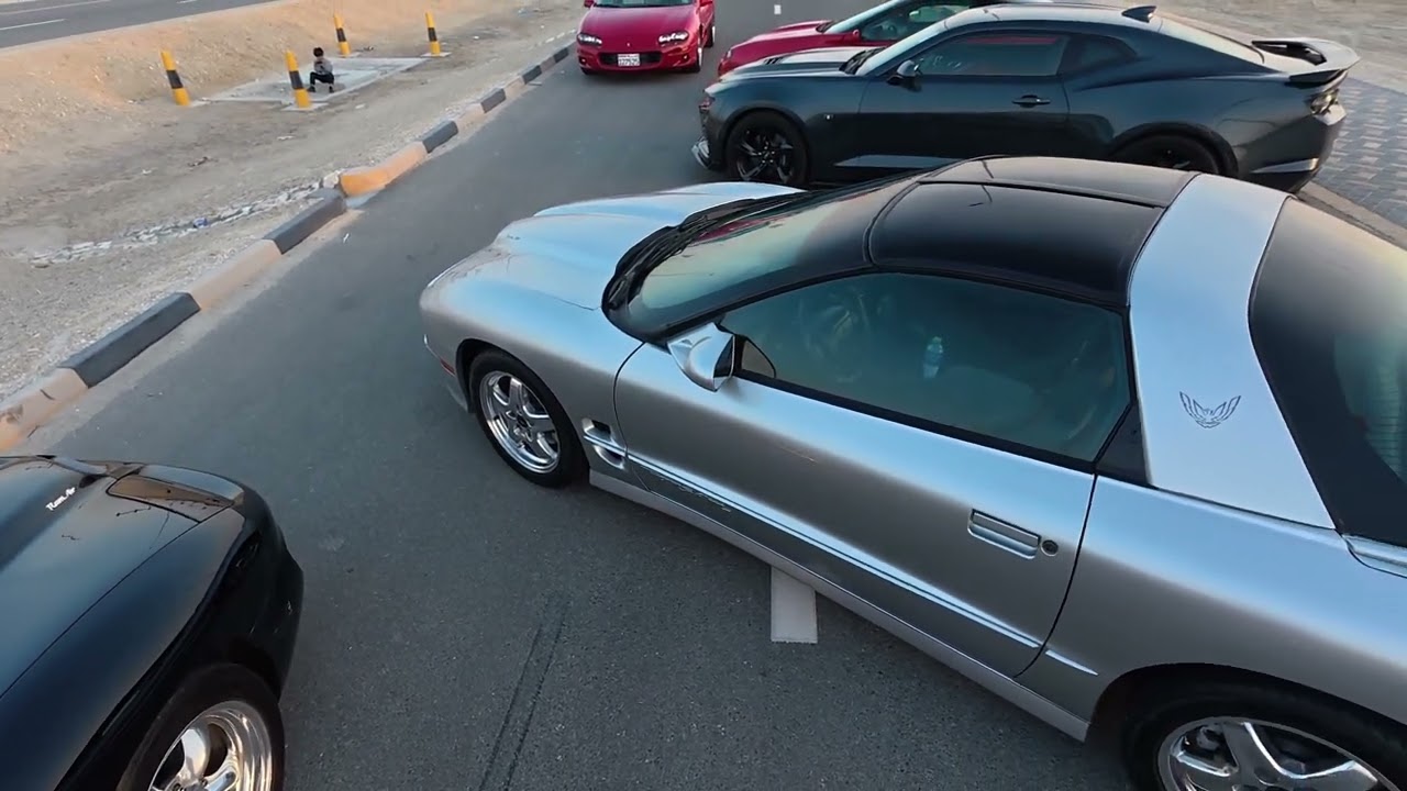 Bright Silver Metallic Trans am Ws6 