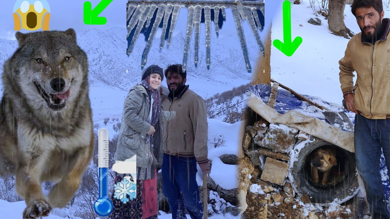 Operator caught in winter blizzard and prey for wolves😱