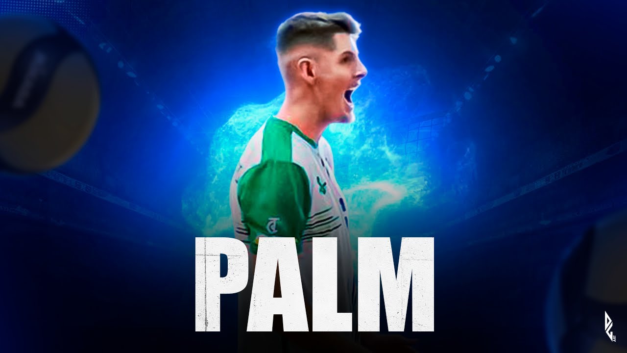 Highlights: BRUNO PALM (Middle Blocker)