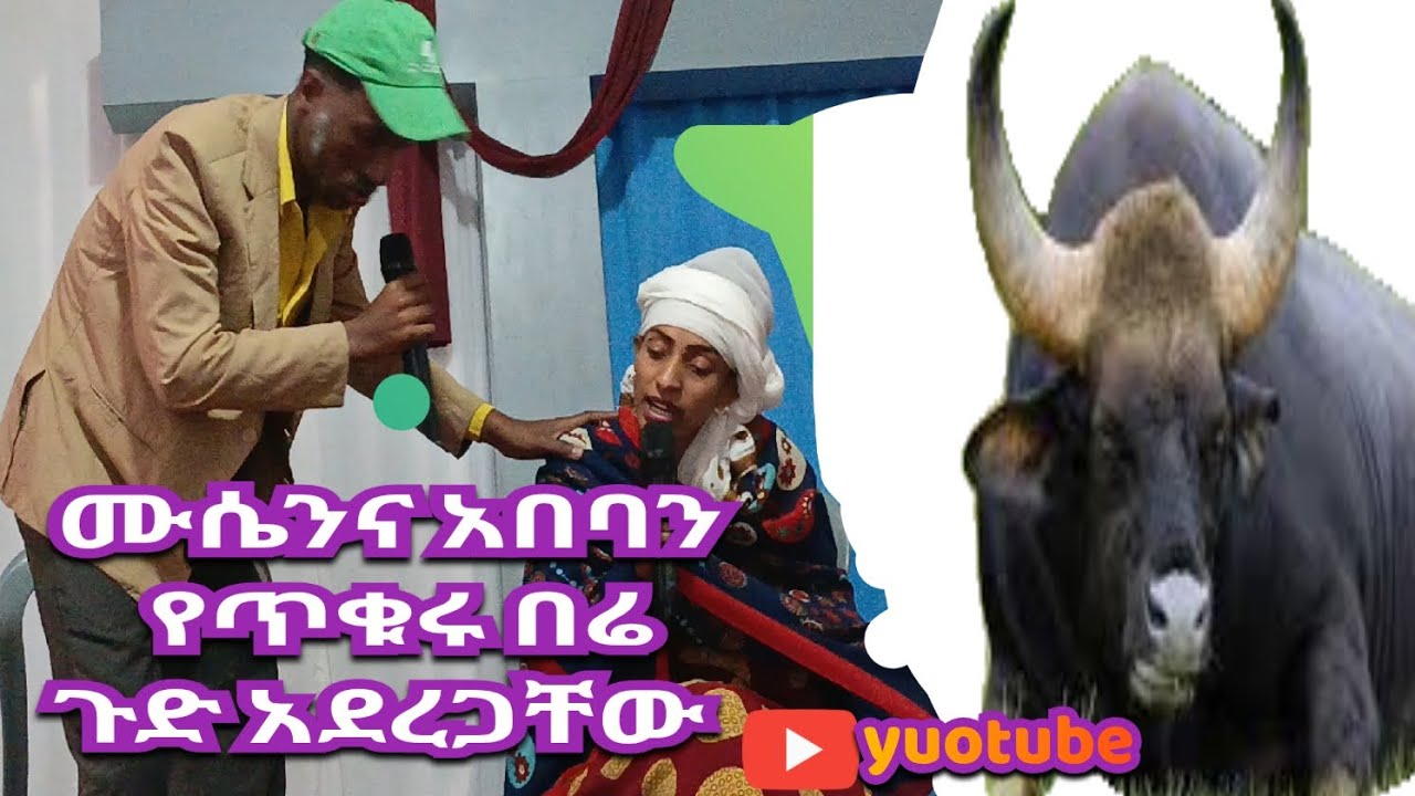 ጥቁሩ በሬ  ጉደ አደረጋቸው!! ወይ ጉድ!! 