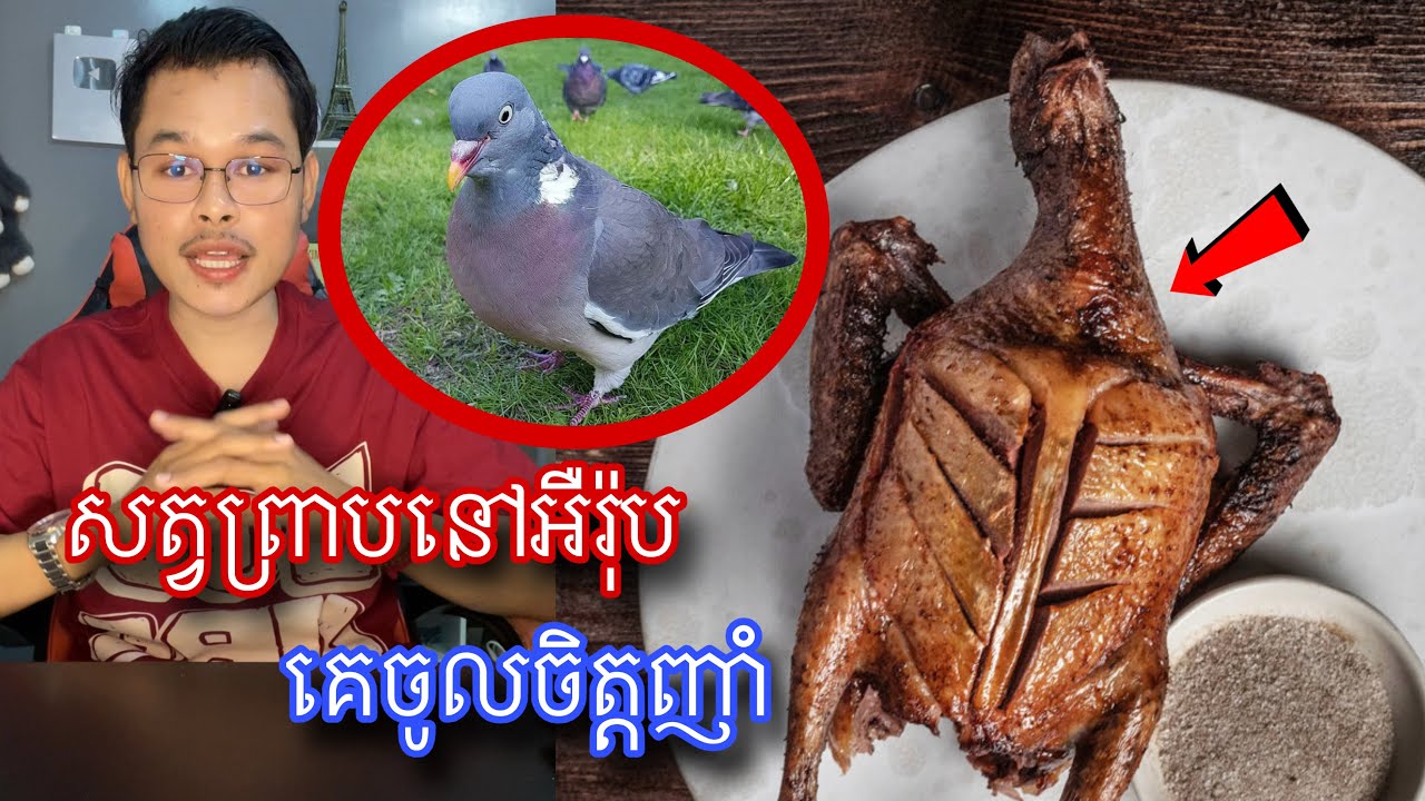 ប្រជាជនអឺរ៉ុបចូលចិត្តញាំសាច់ព្រាបណាស់ l Mr.Veasna