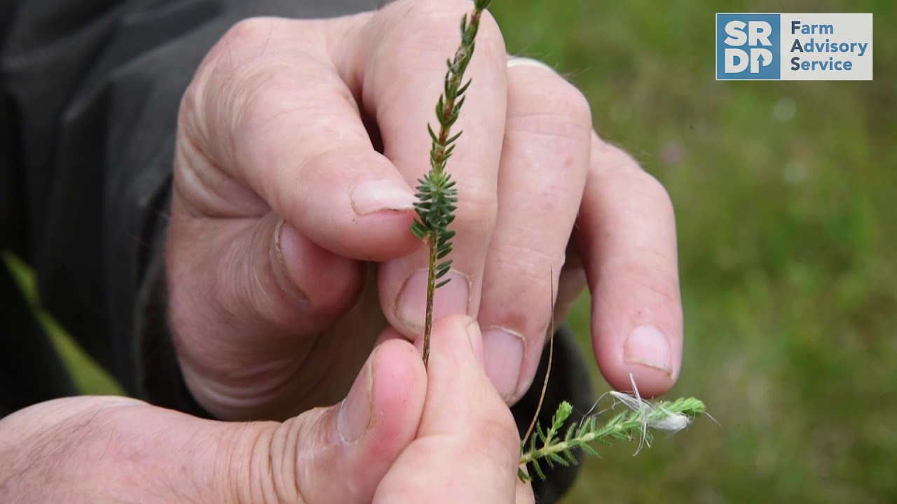 How to Complete a Habitat Impact Assessment