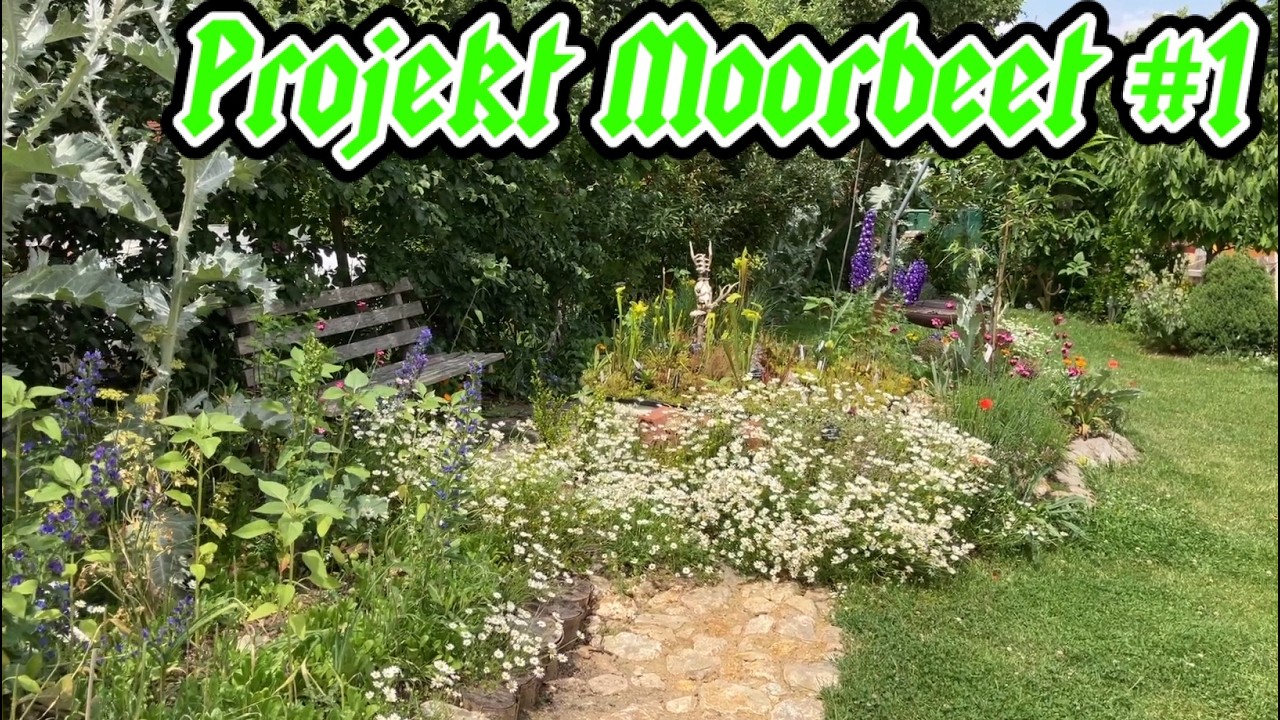 Projekt Moorbeet #1: Frühjahrsputz & Vermehrungs-Hacks #Karnivoren #omg #fleischfressendepflanzen