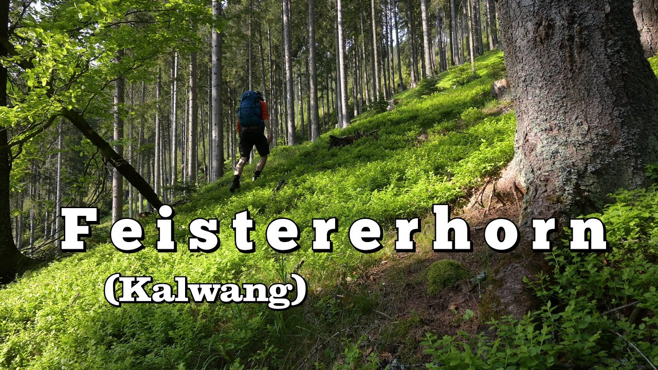 Feistererhorn (von Kalwang)