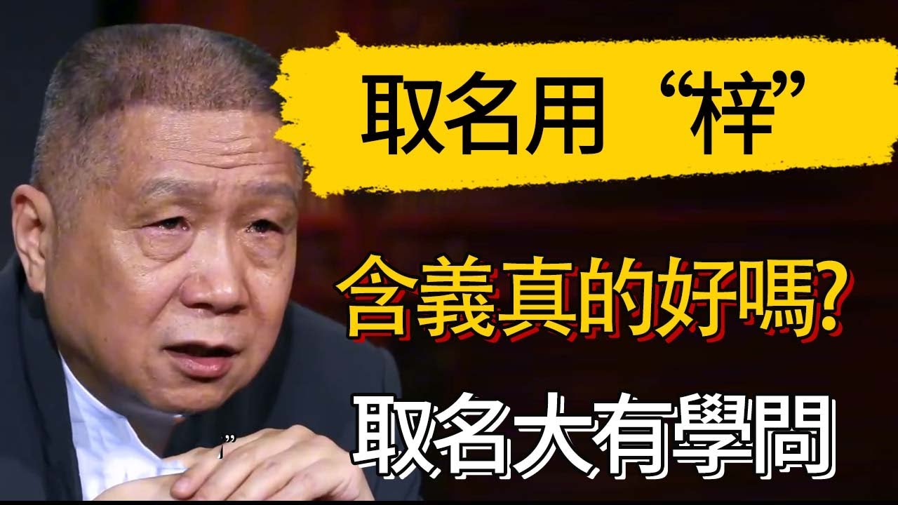 取名用“梓””含義真的好嗎?  #觀復嘟嘟 #馬未都 #圆桌派 #观复嘟嘟