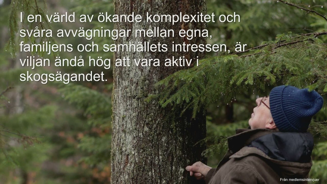 Södras syn på hyggesfritt