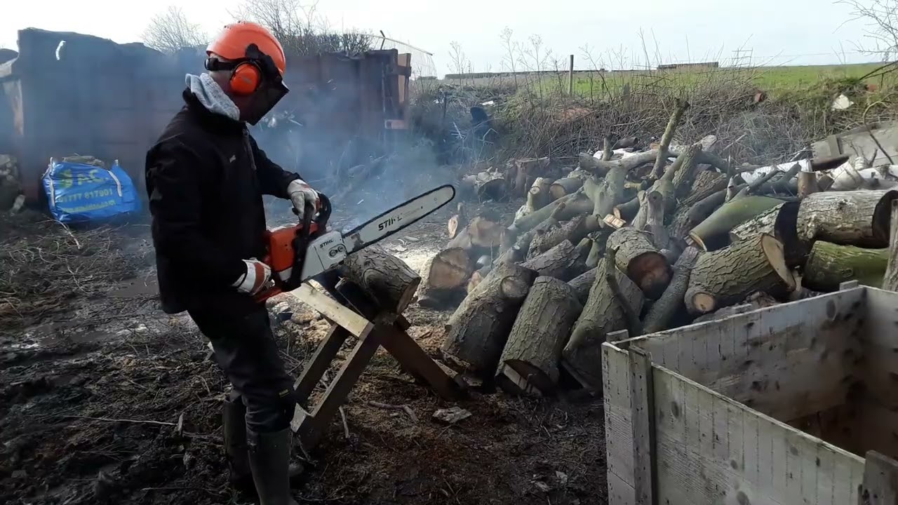 Week 5 at The Woodyard Ranskill Limited
