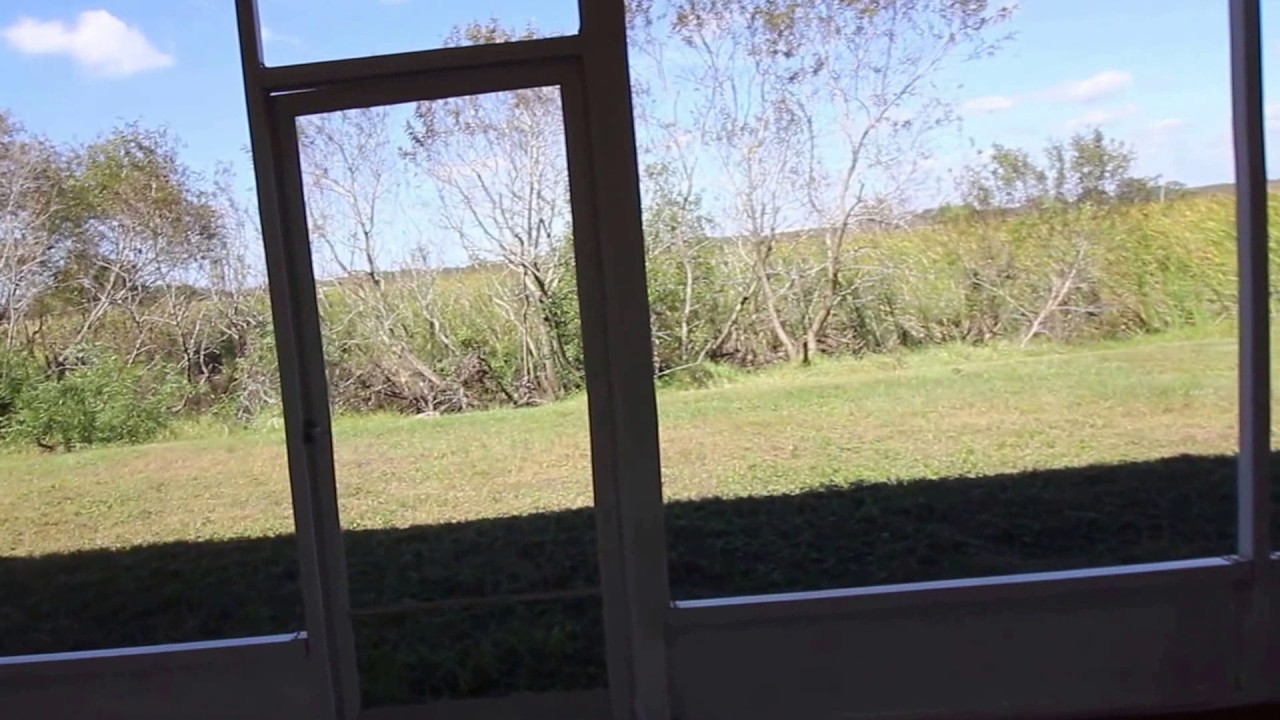 1911 Pink Guara Crt Trinity Fl 34655 Home For Sale