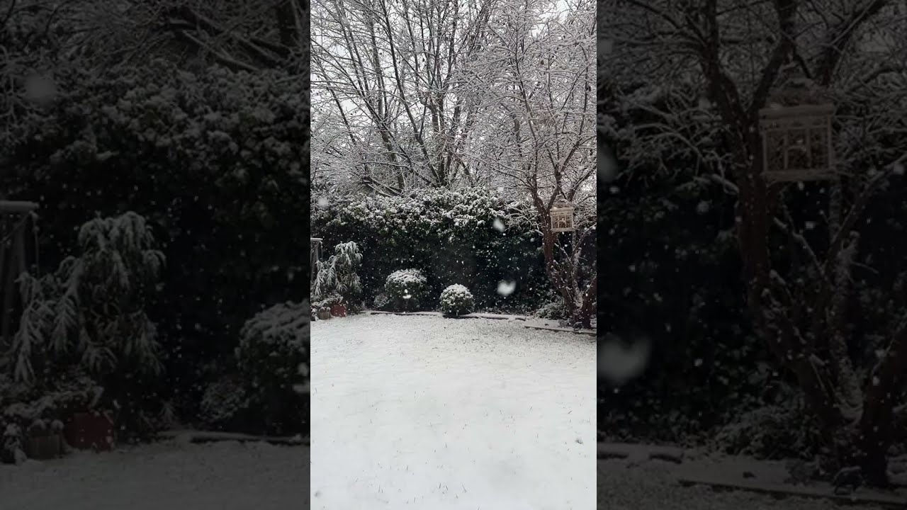 Snow madrid