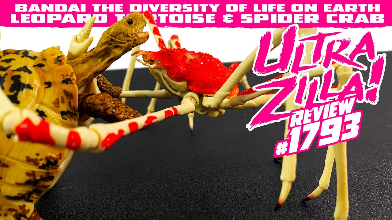 BANDAI THE DIVERSITY OF LIFE ON EARTH LEOPARD TORTOISE & SPIDER CRAB REVIEW!