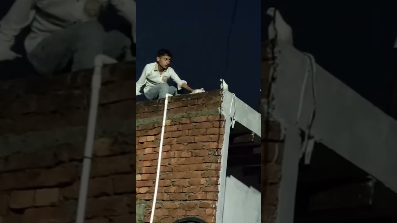 Raat Mein kabutar pakad liya#highflyer #pigeon #kabutar #ytshorts #shorts  wait for end