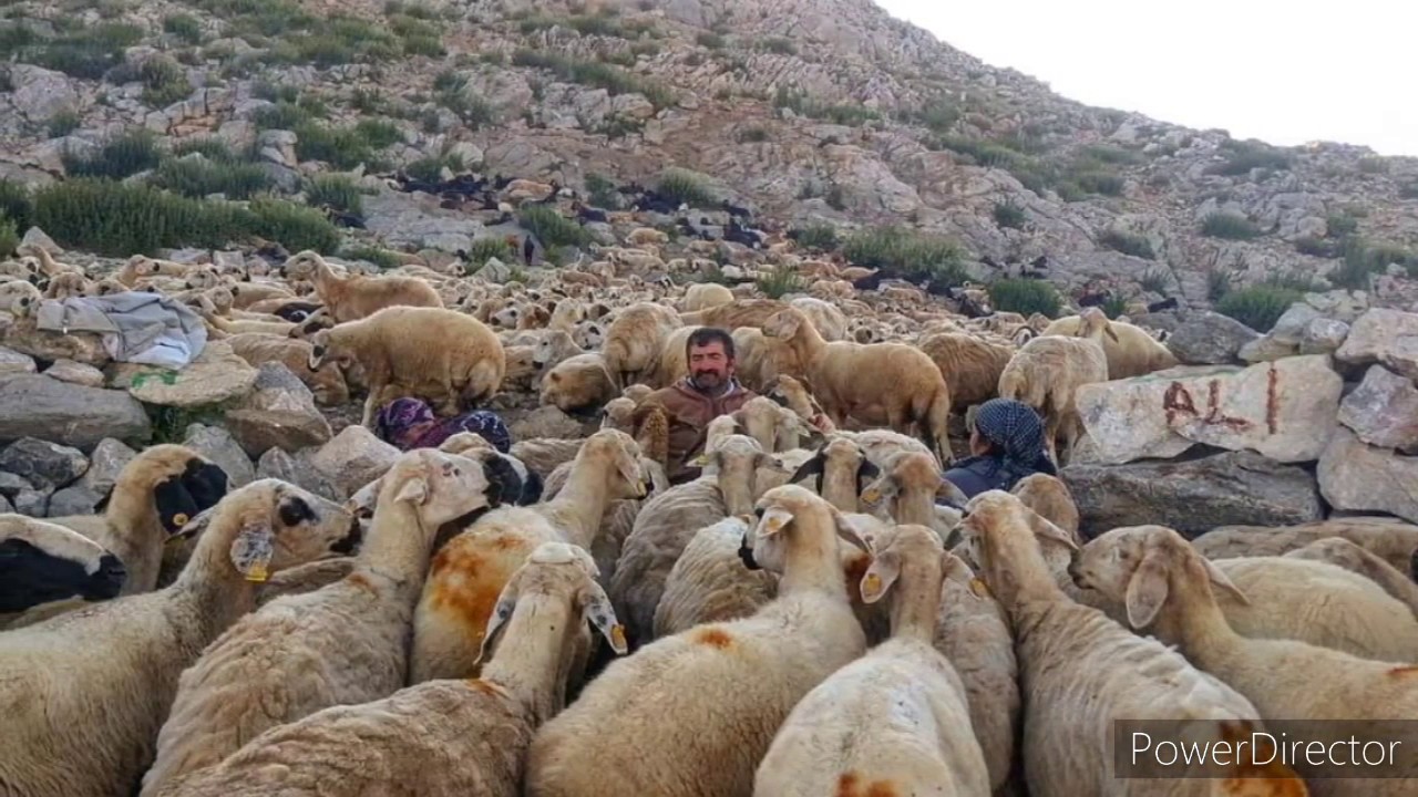 AFŞİN  SERKİZÇAYIR (TÜRKÇAYIRI) KÖYÜ