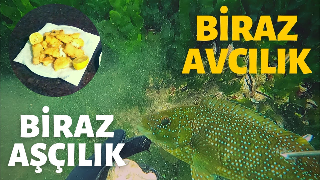 BİRAZ AVCILIK BİRAZ AŞÇILIK (KİKLA)