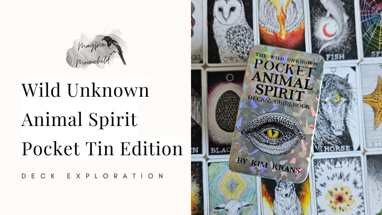 Wild Unknown Animal Spirit Oracle Pocket Tin Edition By Kim Krans - Deck Exploration
