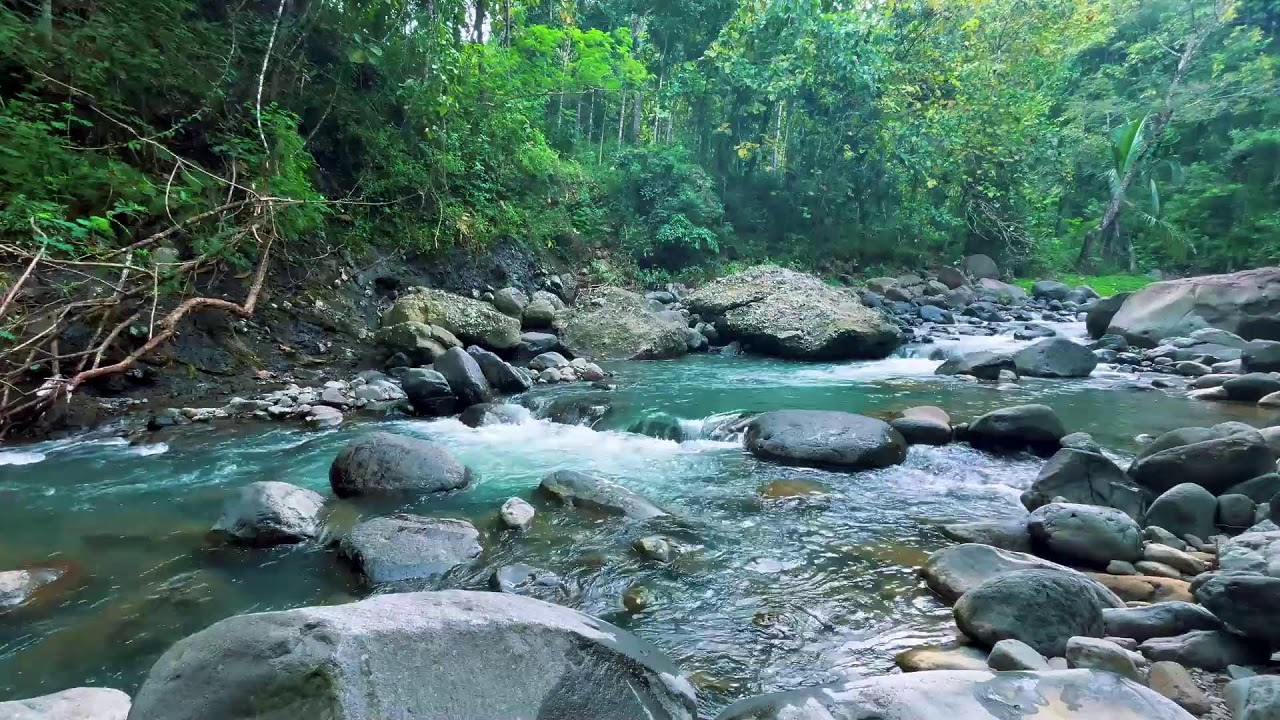 Gentle River Sounds for Sleeping, River Sounds for relaxation, Water Sounds for stress relief