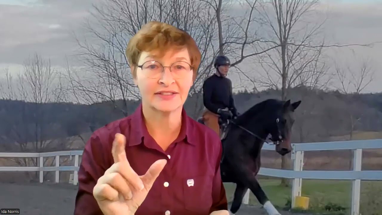 Western Dressage Test Tips - Level 1 Test 1