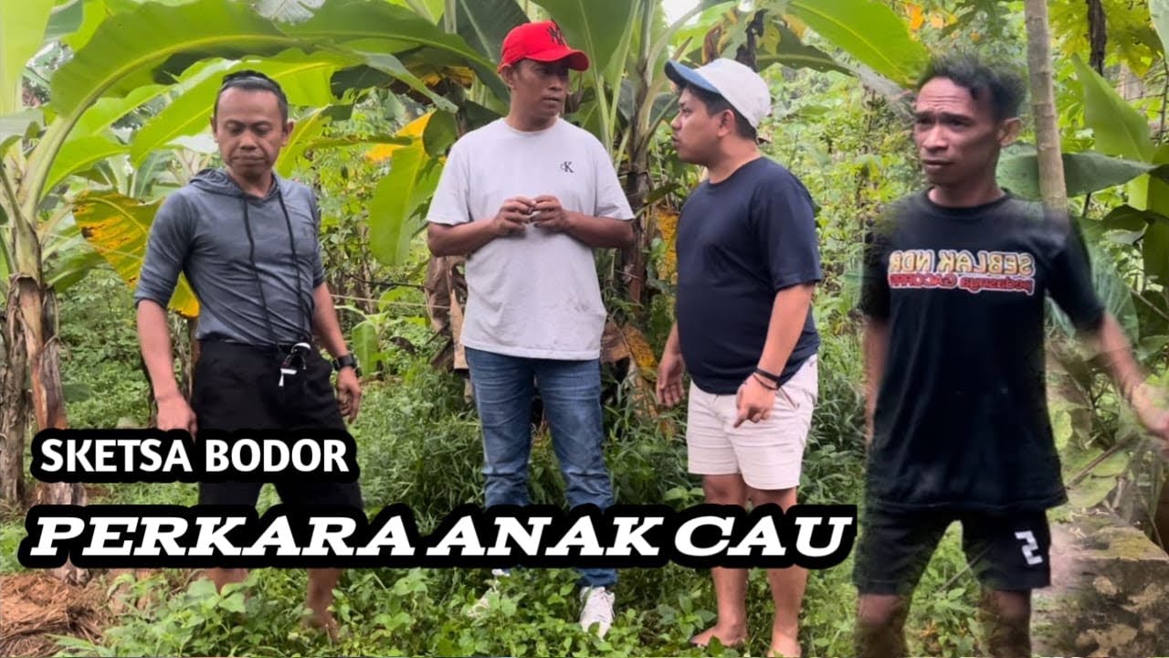 SKETSA BODOR PERKARA ANAK CAU MATAK LIEUR