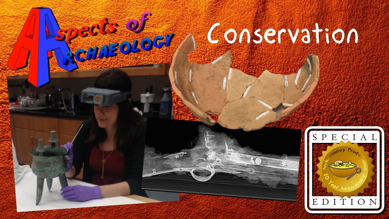 Aspects of Archaeology: Conservation (Special Edition)