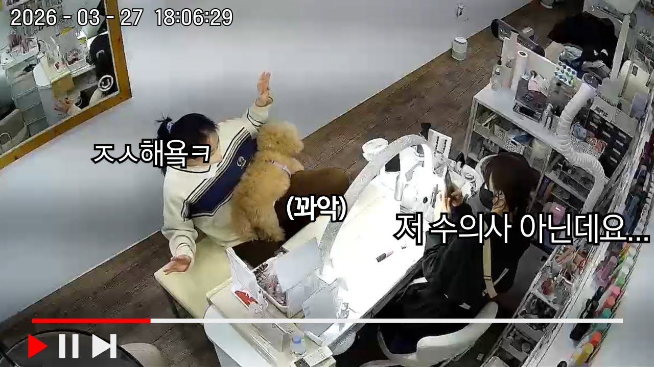 네일샵을 동물병원으로 착각한 강아지(CCTV)