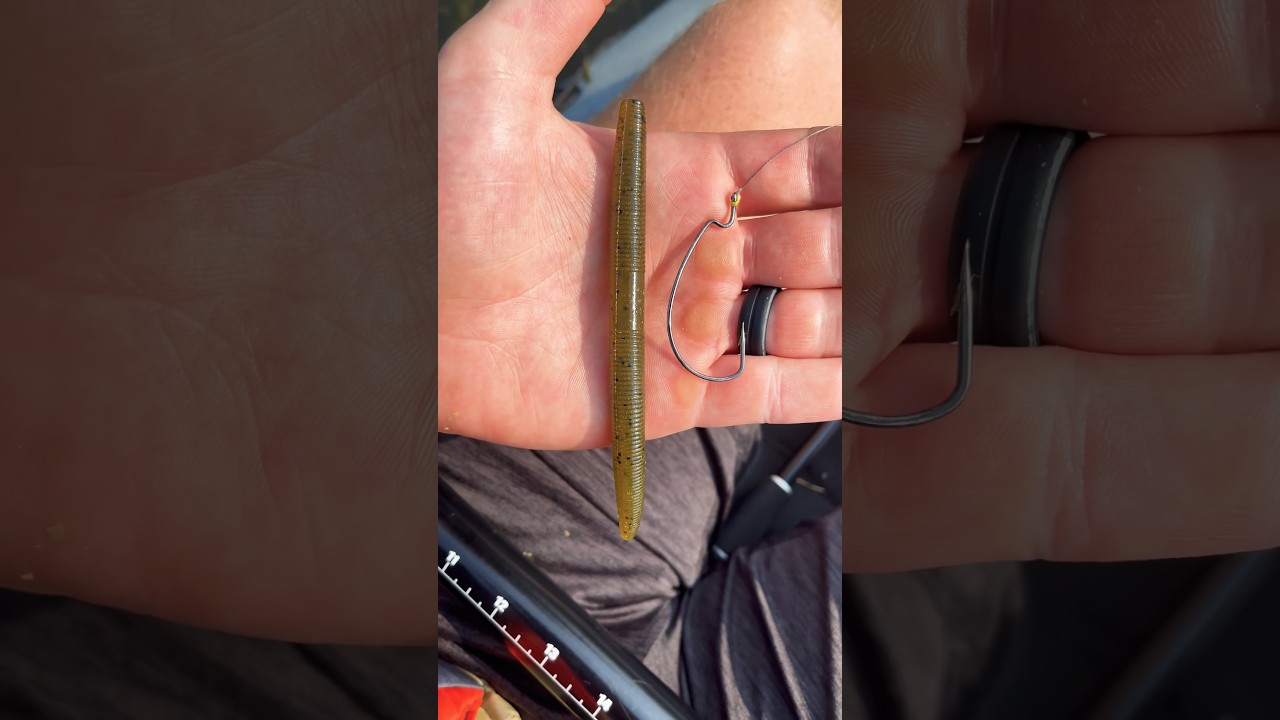 All You NEED To Catch BIG BASS!!!